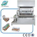 Fully Automatic Made in China Paper Making Machine Egg Tray Carton 7000 Pcs/hour