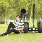 Self Balance Electric Golf Cart,cheap Golf Cart for Sale,two Wheels Golf Cart thumbnail-2