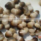 Hot Sell Canned Straw Mushroom thumbnail-1