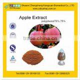 GMP manufacturer supply high quality Fruit Apple Concentrate Powder