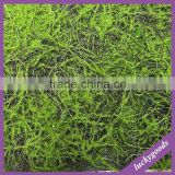 LTX007-LTX011 best selling decorative artificial wall mounted flocking moss