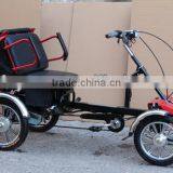 New Electric Tricycle for Old Couple thumbnail-1