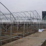 Plastic Film Greenhouse for Tomato thumbnail-2
