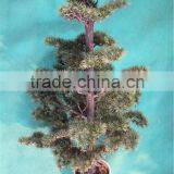 Home Garden Decoration 50cm to 160 cm Hight Small Indoor Canadian Artificial Green Pot Plastic Similar Pine Trees ELSPZ02 0905 thumbnail-4