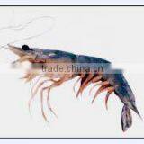 King Prawns thumbnail-1