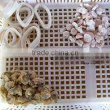 500g Seafood Mix thumbnail-4