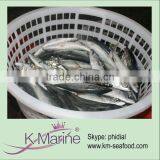 High Quality and Cheap Price Frozen Mackerel Lot Number#kmw4057 thumbnail-1