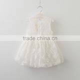Summer New Style Princess Dress Lace Kids Clothes Girls Dresses Baby thumbnail-5