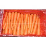 chinese fresh carrot