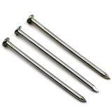 Q195 Polishing Common Nail From YuYao Factory thumbnail-5