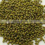Mung Beans thumbnail-2