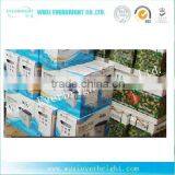 Chinese Supplier Green Rechargeable Battery