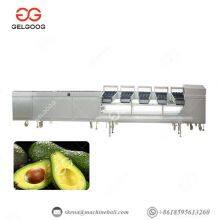 Avocado Fruit Washing Grading And Waxing Processing Line Avocado Washing Machine thumbnail-2