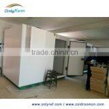 Fruit and Vegetable Cold Room , Sandwich Panel Cold Room , Mini Cold Storage Quality Choice Supplier's Choice thumbnail-6