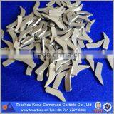 Ski Pole Tip thumbnail-1