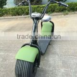 1000W Electric moped Scooter harley with Lithium Battery