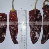 New Crops, Xinjiang China ,dry Paprika Pods,chilli Pepper thumbnail-3