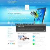 Software Development Custom thumbnail-6