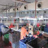 Jinjiang City Jinbaiye Shoes Trade Co., Ltd. company overview - view 1 thumbnail