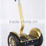 2015 Newest 700w Power, 100kg to 200kg Load,smart Balance Wheel, 10 Inch Tire