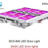 Saga sco-840w big power LED grow lights for indoor garden. High Par value