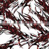 Water Transfer Printing