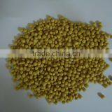 Indian Soya bean Seed