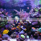 60cm 120cm Best Sale Professional Led Light Aquarium Lighting Programmable Lunar Cycle 90watt thumbnail-4