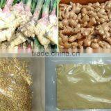 Sulfur-free Ginger Powder Ginger Root Extract Ginger Powder thumbnail-2