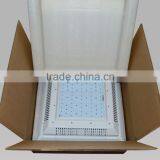 Latest Technology LED Explosion Proof Lamp thumbnail-5