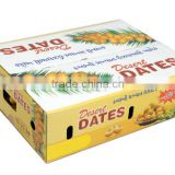 Fresh Israel Dates Supplier in India