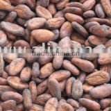 New season's cacao/cocoa beans/nibs/seeds,directly from our farm