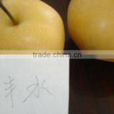 2012 Feng Shui Pear thumbnail-1