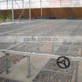 Factory Price PC Sheet Covered Agricultural Greenhouse For Vegetable Seeds thumbnail-5