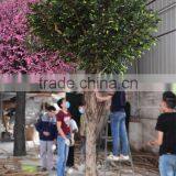 SJ2001011 Landscaping Artificial Big Banyan Tree thumbnail-1