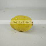Decorative Artificial Tomato Fake Potato Lifelike Onion Wholesale thumbnail-5