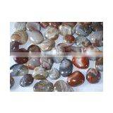 Natural Pebble Stone thumbnail-1