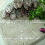 Hot Sell 2017 IQF Surimi thumbnail-2