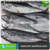 Carton or Woven Bag Packed 18 Months Shelf Life New Frozen Bonito thumbnail-5