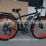 China Supplier Cheap Manufactory Price Electric Fat Bike ATV Ebike for Sale thumbnail-1