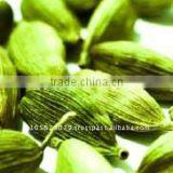 100% Pure Cardamom Oil thumbnail-1