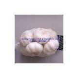China Fresh Garlic thumbnail-1