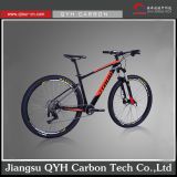 Jiangsu QYH Carbon Tech carbon mountain bike 29er disc brake carbon fiber mtb carbon bike 29