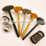 Auto Car Workshop Supplier Spare Parts Intake Inlet Outlet Exhaust Engine Valve for VW Audi a6 Scarico a4 a3 2.0 Tsfi Fsi Model thumbnail-4