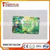 3D Lenticular Card / 3D Paper Cards / Hologram Business Cards