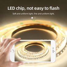 LED Strip Light, 3000K-6000K Tunable White, 32.8ft Dimmable Super Bright LED Tape Lights, 120 LEDs SMD 2835, Strong Adhesive thumbnail-1