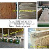 Scaffold Lvl Board/scaffolding Lvl Board to Mid-east Market