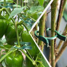 Plant Garden Clips Planting Support Grippers Great for Flower Vine and Vegetable Seedling Support Clips thumbnail-5