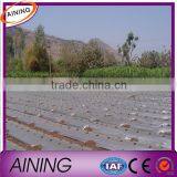 Agricultural Mulching Film Used for Fruit, Flower and Vegetable