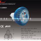 WS-LS0031 3w Led Spotlight